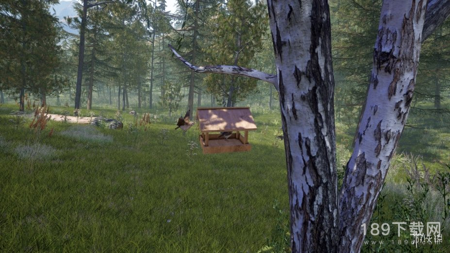 森林护林员模拟器