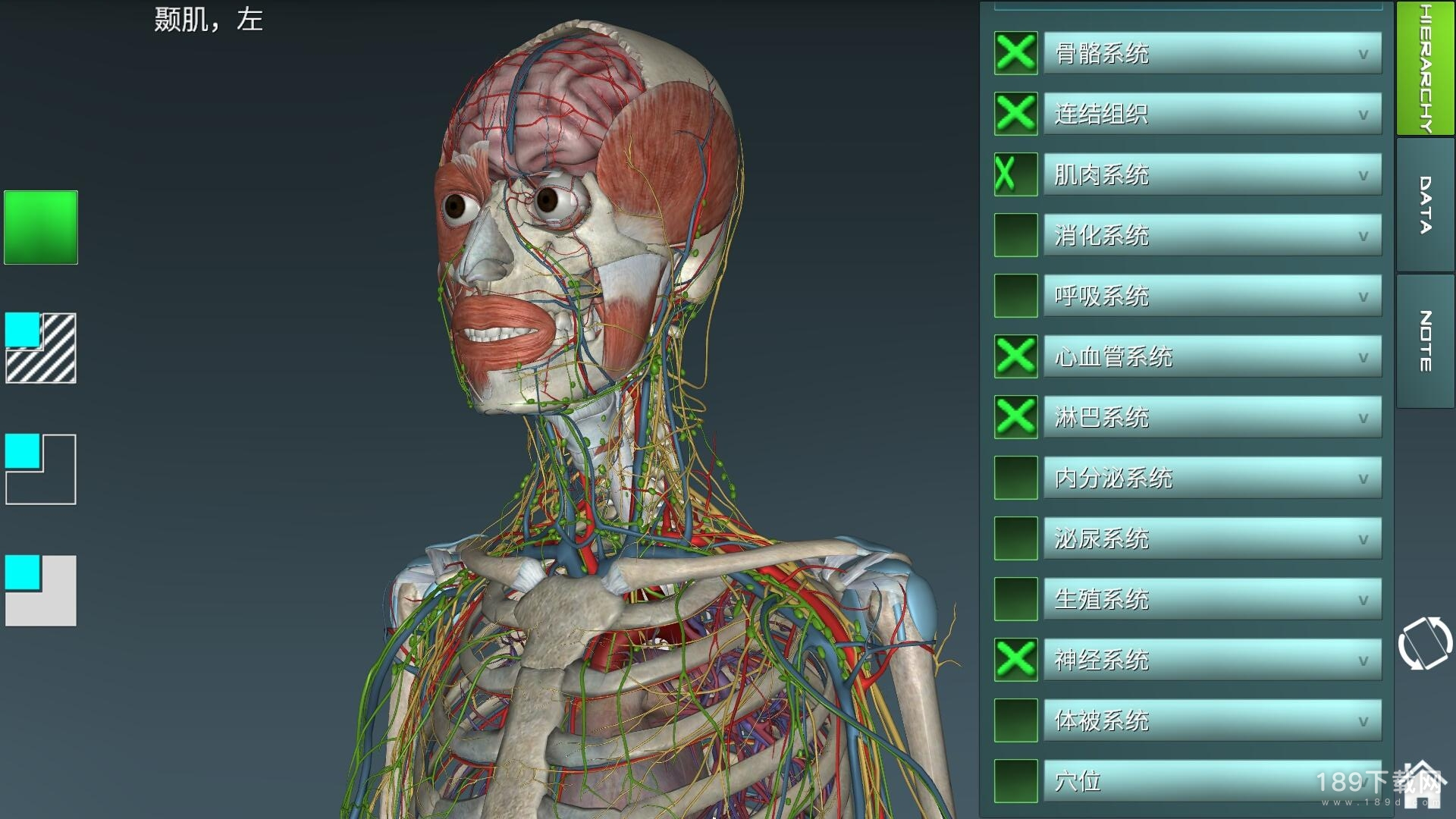 人体解剖学图集2024版