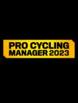 职业自行车队经理2023